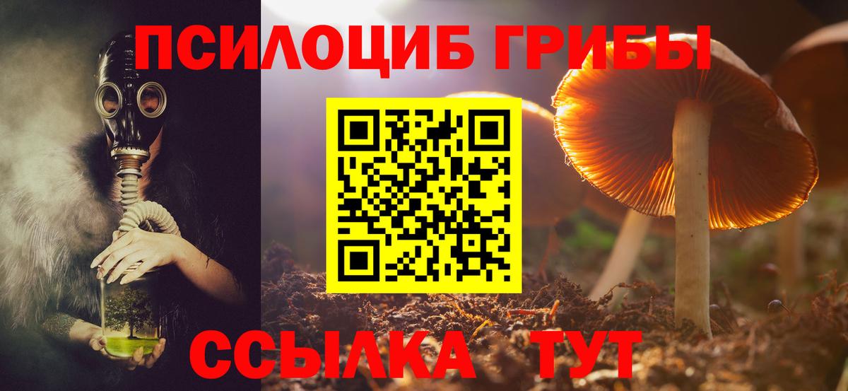 Псилоцибиновые грибы мицелий  Вход с VPN  Белгород 